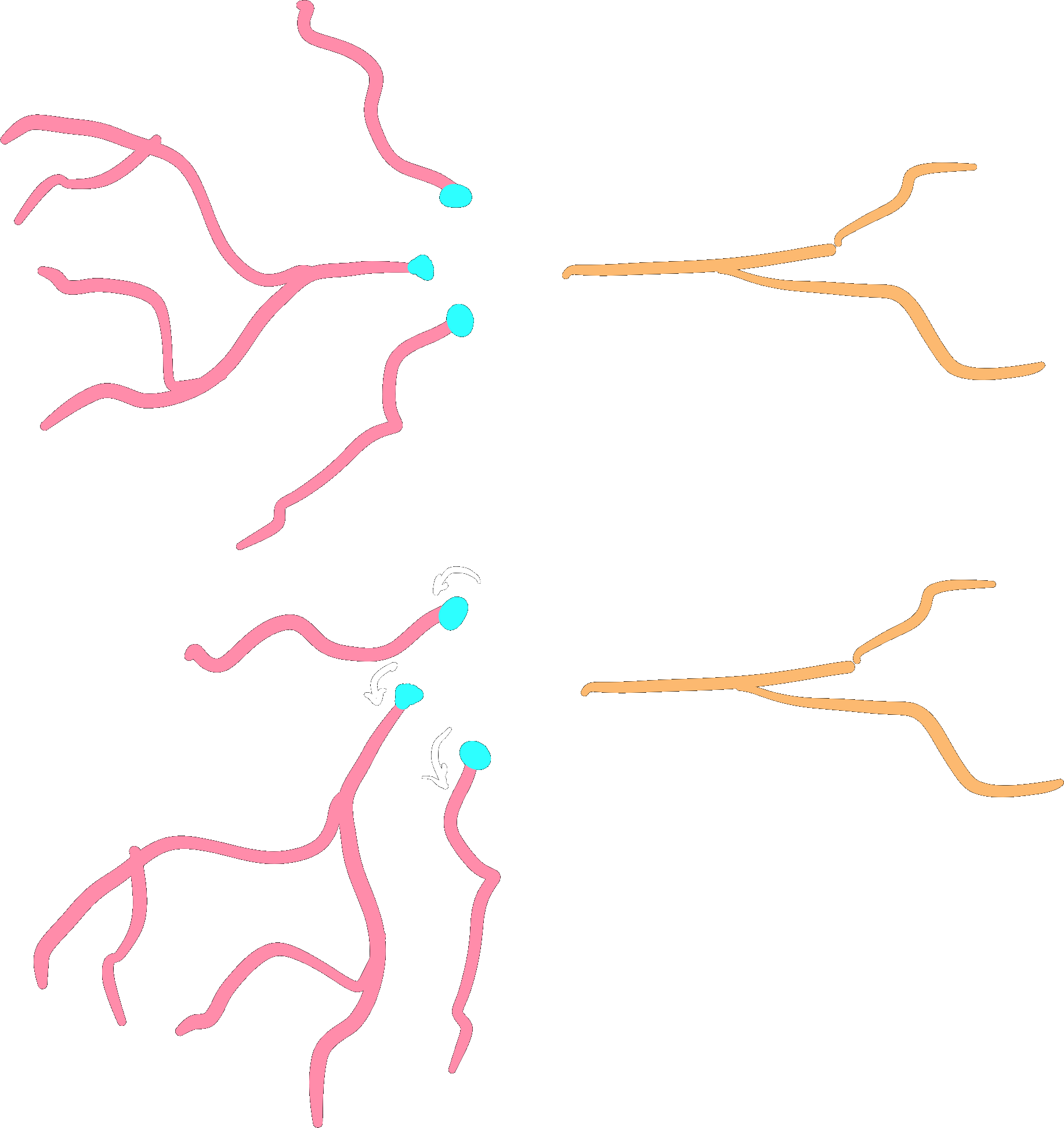 ../_images/root_rotate_tree_dark.png